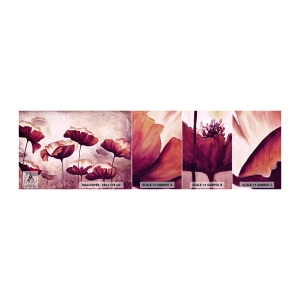 Mostră tapet autocolant Deluxe Sticker - Fulgi roșii și albi - Abstracția, Flori, Bucată - 100x30 cm