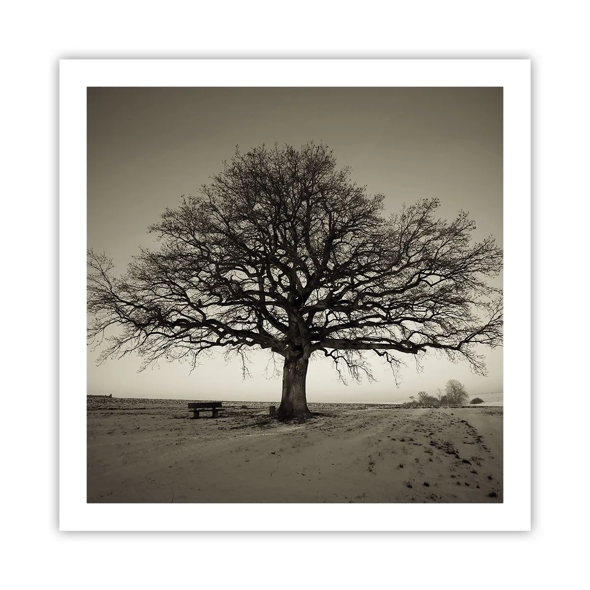 Poster - De aici până în veșnicie - 60x60 cm