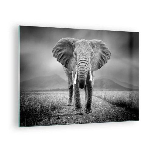 Tablou pe sticlă - Elefant în savană, în alb și negru - 70x50cm - Gazda te salută - Decorațiune modernă pentru perete pentru living și dormitor ARTTOR