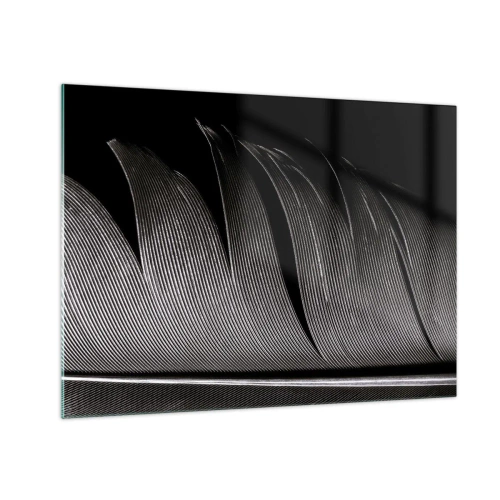Tablou pe sticlă - Un prim-plan alb-negru al unei pene prezentate pe un fundal luminos contrastant. - 70x50cm - Pana - o construcție minunată - Decorațiune modernă pentru perete pentru living și dormitor ARTTOR