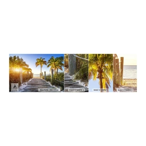 Mostră de Tapet Standard Eco - Direct în paradis - Peisaj, Palmier de nuca de cocos, plajă - 100x30 cm