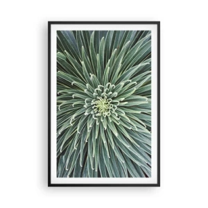 Poster în ramă neagră - Nașterea unei stele - 61x91 cm