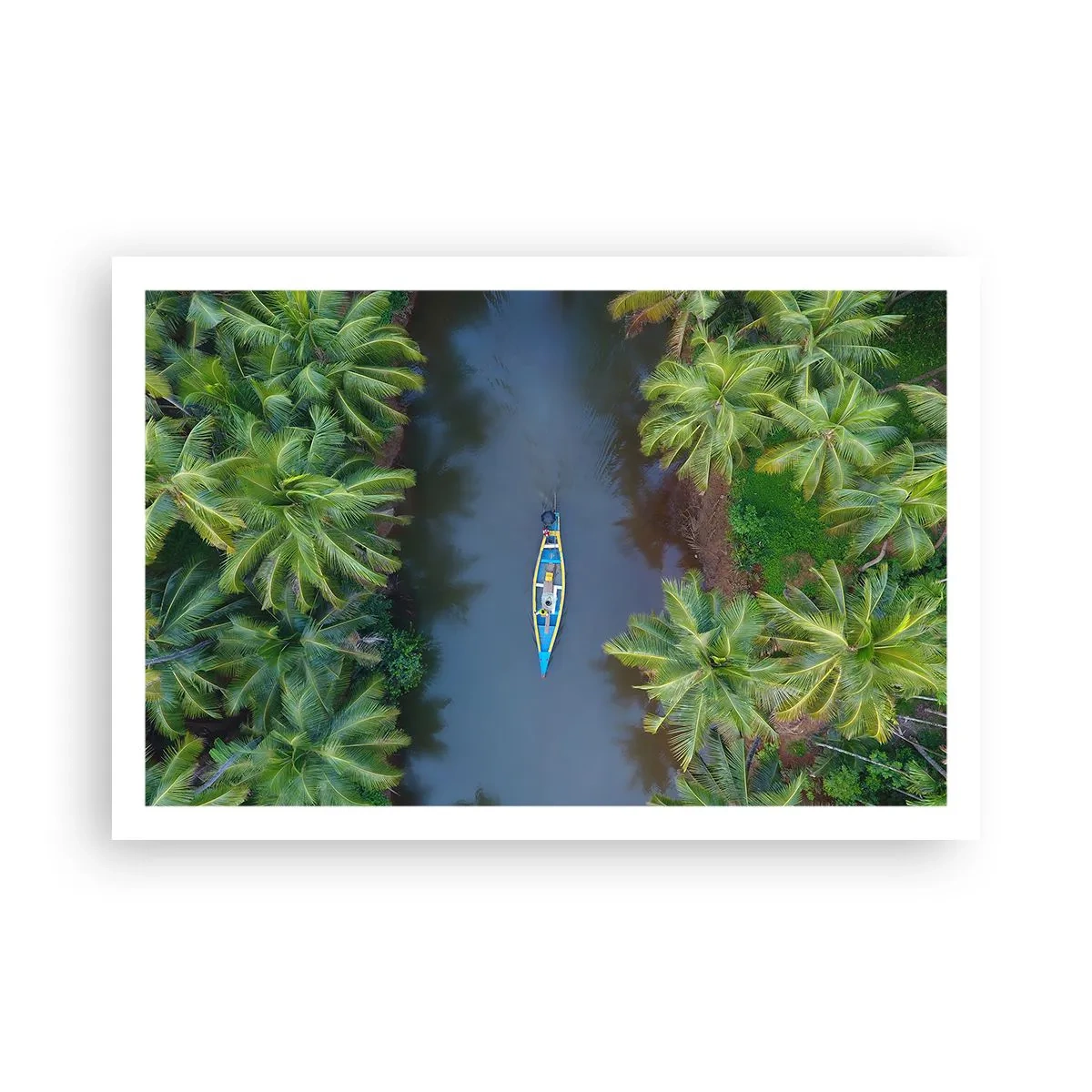 Poster - Pe traseul tropical - 91x61 cm