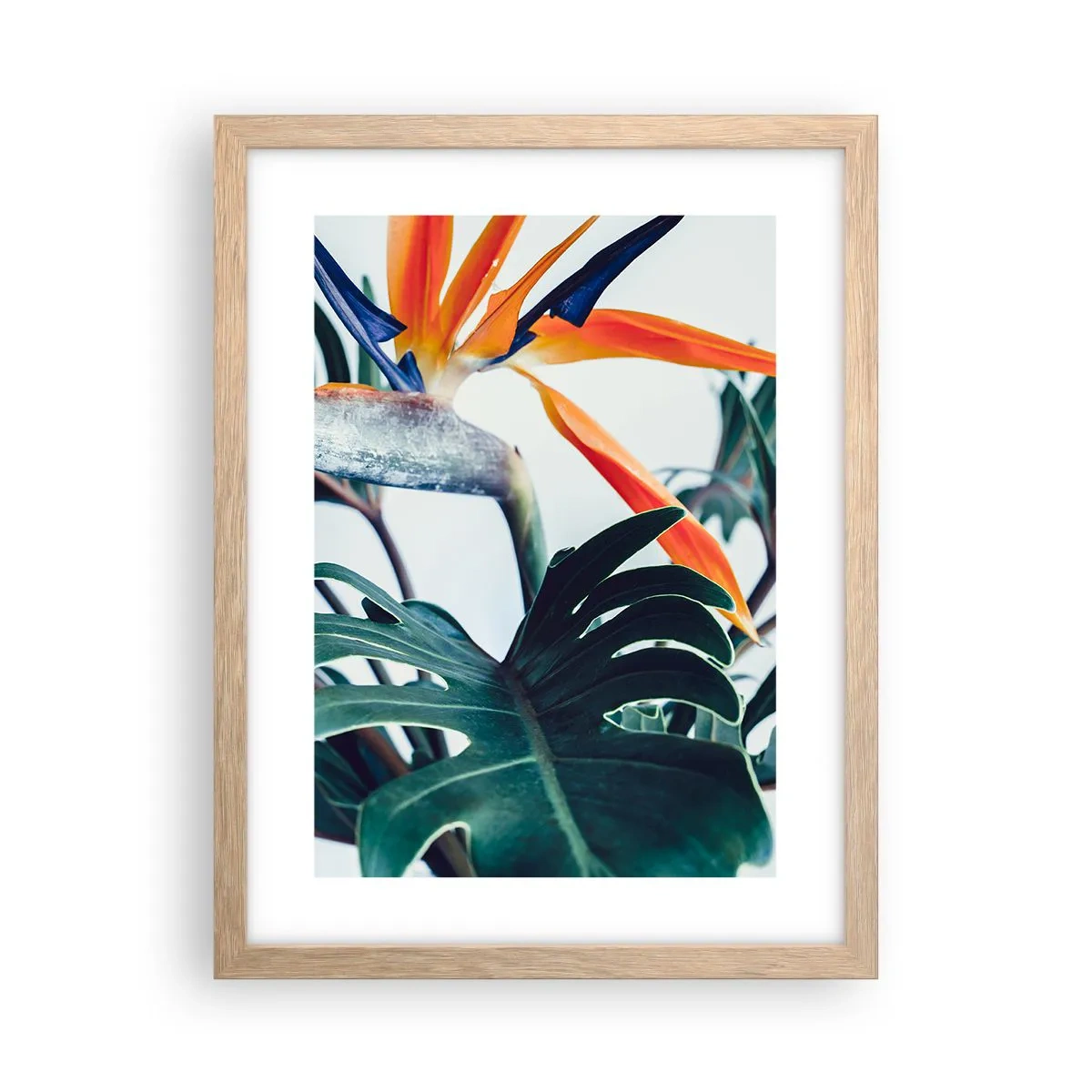 Poster în ramă de stejar deschis - Tufiș sau pasăre? - 30x40 cm
