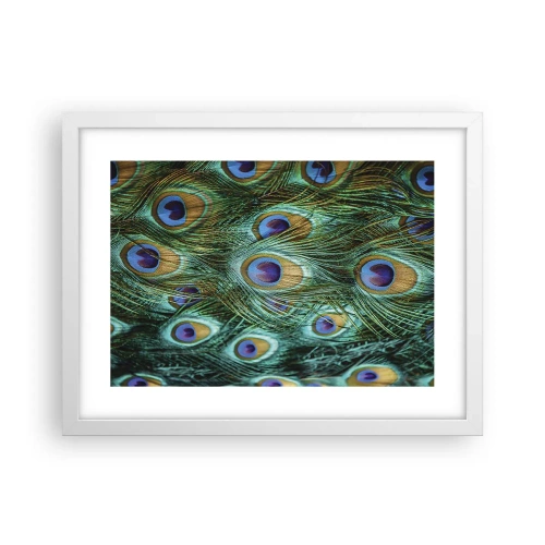 Poster în ramă albă - O privire cu ochi de păun - 40x30 cm