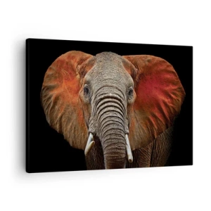 Tablou pe pânză Canvas - Portretul unui elefant pe fundal negru - 70x50cm - Sunt sălbatic, și tu? - Decorațiune modernă pentru perete pentru living și dormitor ARTTOR