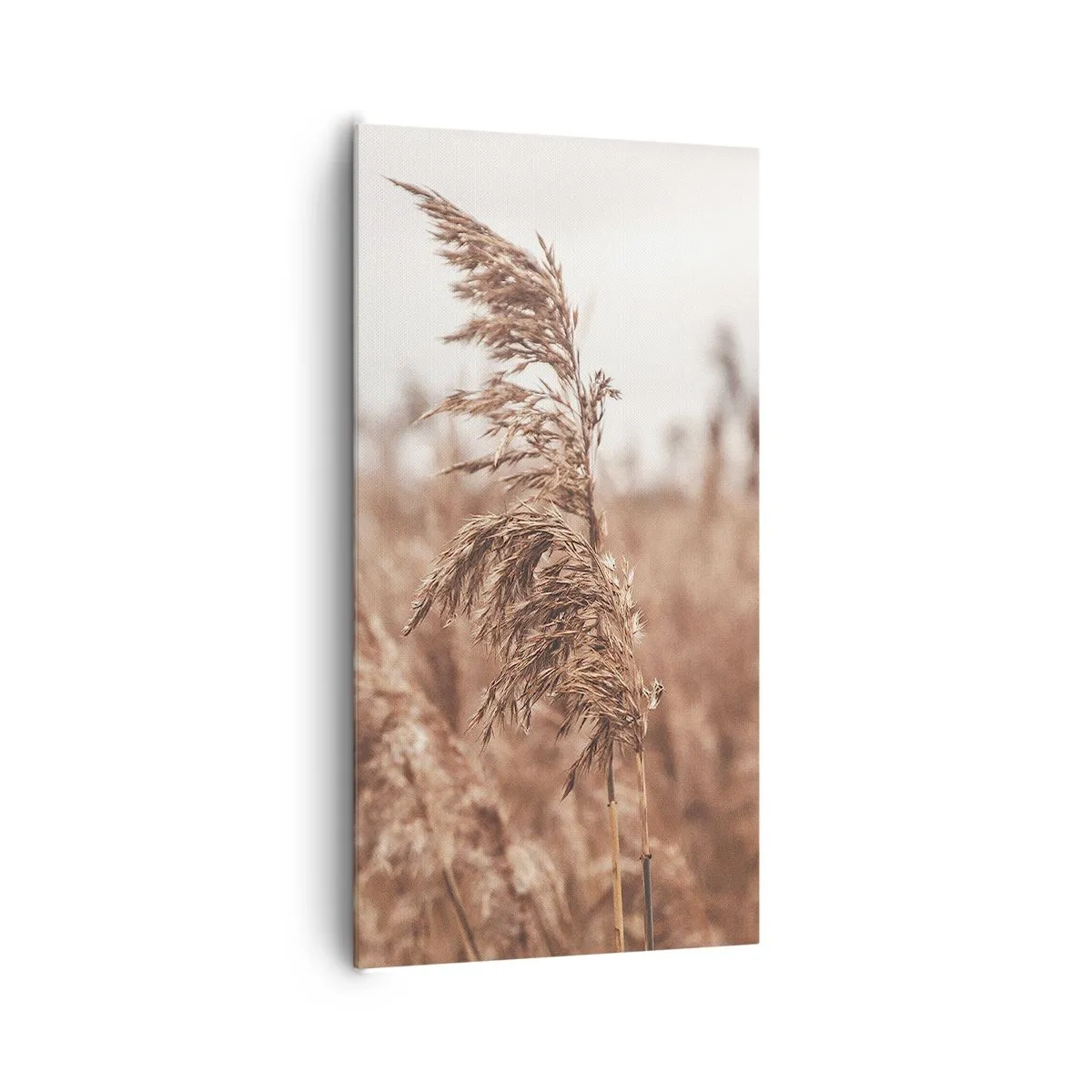 Tablou pe pânză - Toamna pe câmpuri - 65x120 cm