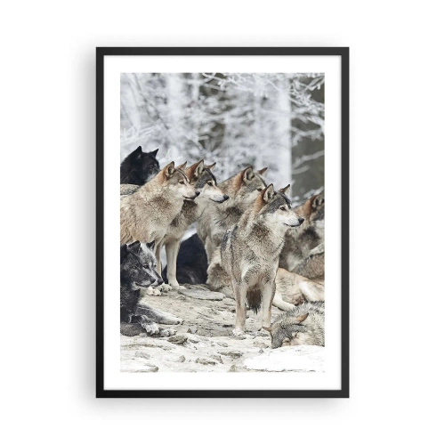 Poster în ramă neagră - Un grup de lupi în pădurea de iarnă - 50x70cm - Familie și prieteni - Decorațiune modernă pentru perete pentru living și dormitor ARTTOR