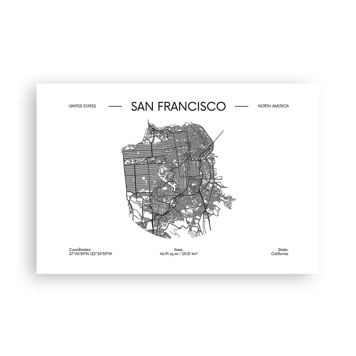 Poster - Anatomia San Francisco - 91x61 cm