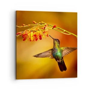 Tablou pe pânză - Mesagerul mayaș al luminii - 70x70 cm