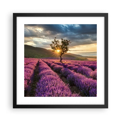 Poster în ramă neagră - Aroma în liliac - 40x40 cm