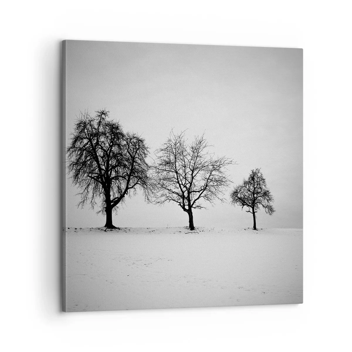 Tablou pe pânză - La ce visează? - 60x60 cm