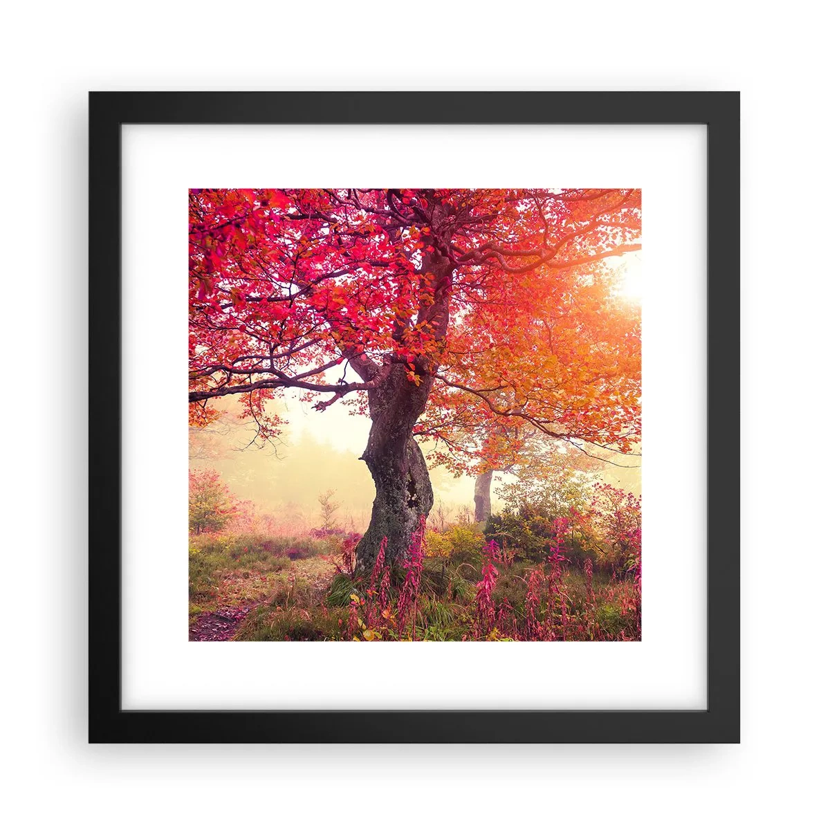 Poster în ramă neagră - O frenezie de înflorire - 30x30 cm