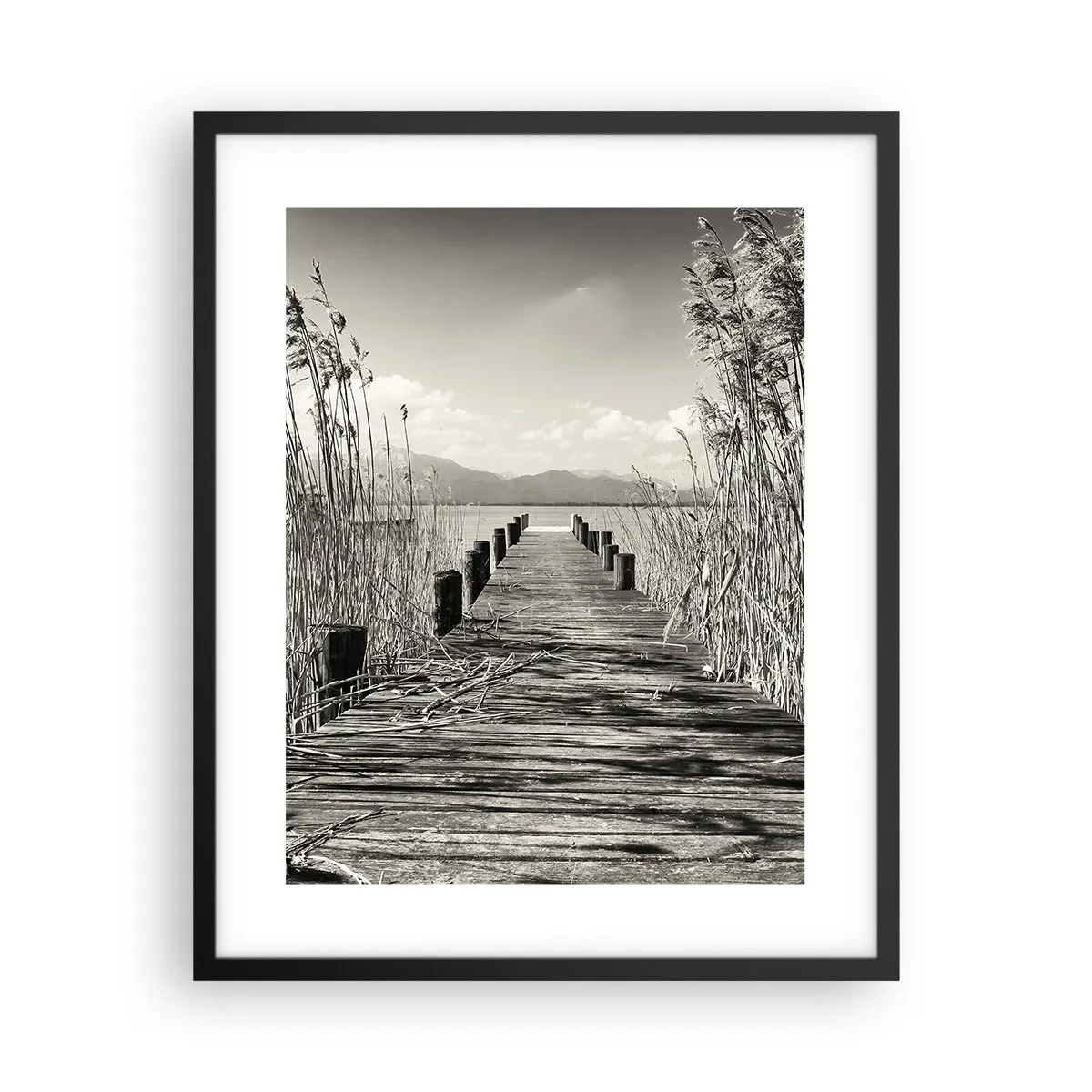 Poster în ramă neagră - În intimitatea ierburilor - 40x50 cm
