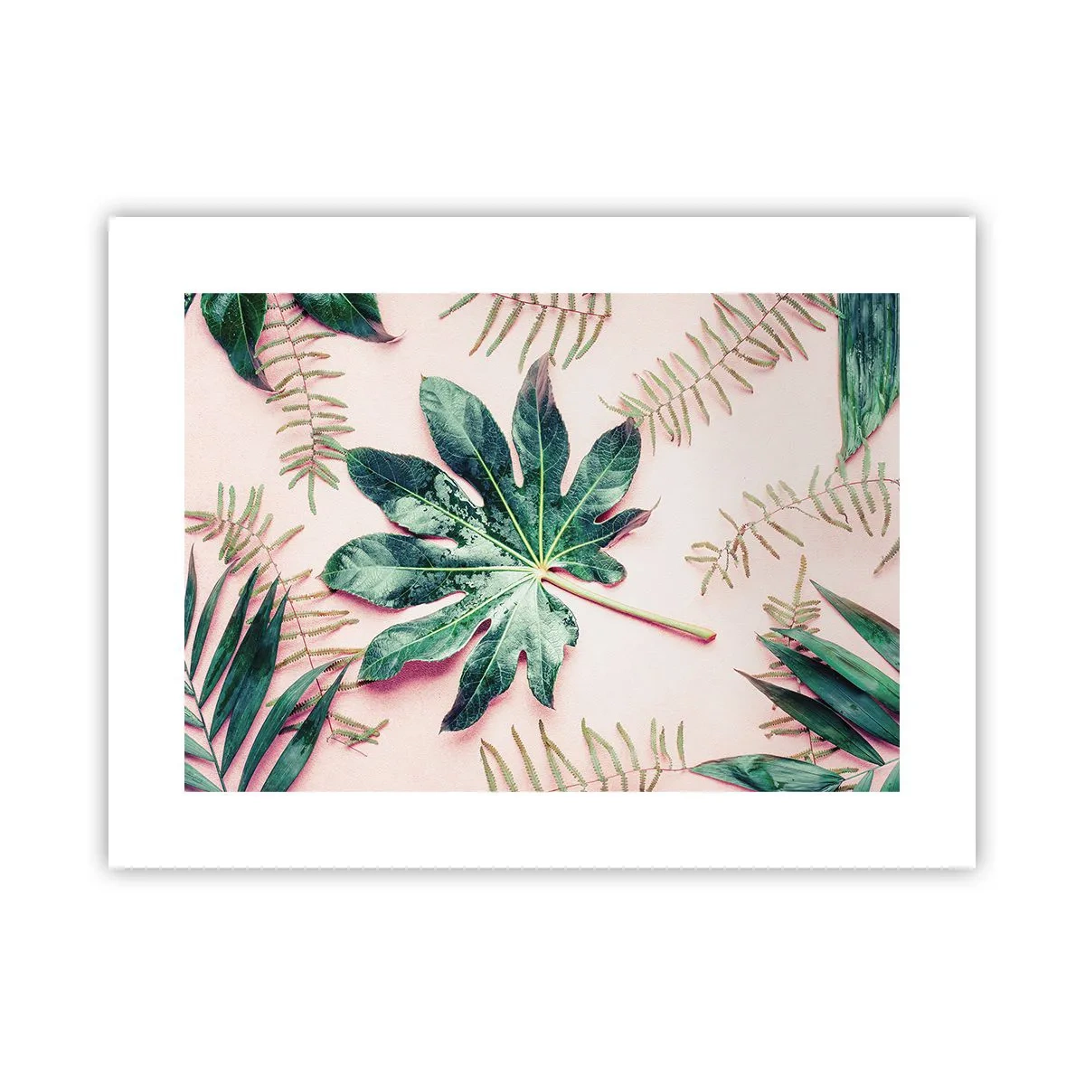 Poster - Studiu de verdeață pe un fundal roz - 40x30 cm