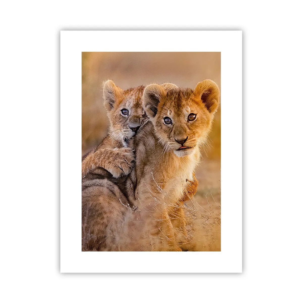 Poster - Nu deranjați! Ne distrăm - 30x40 cm