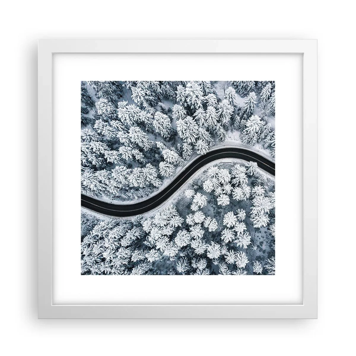 Poster în ramă albă - Prin pădurea de iarnă - 30x30 cm