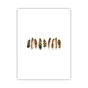 Poster - Variație cu pene - 30x40 cm