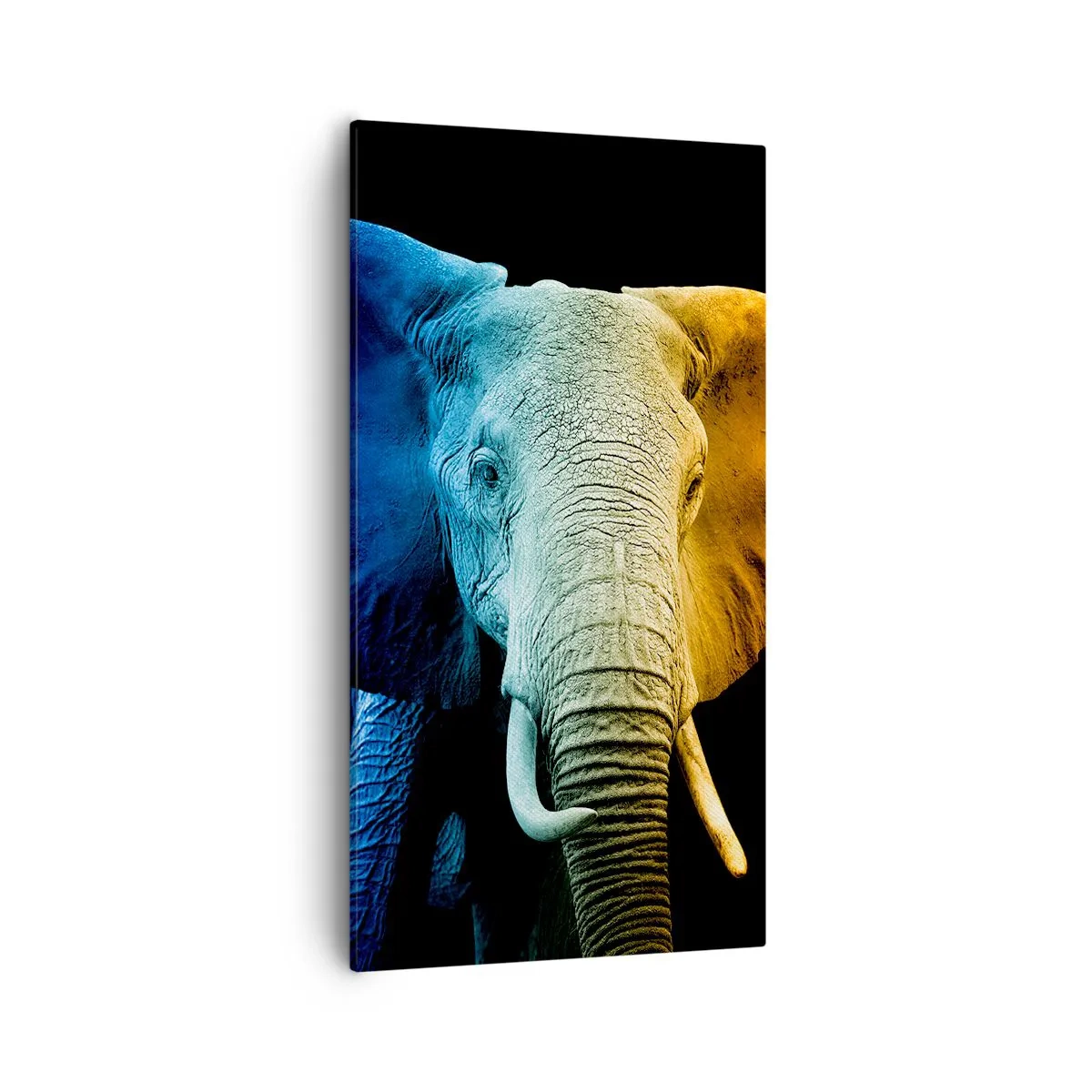 Tablou pe pânză - Excentric, nu ciudat - 55x100 cm