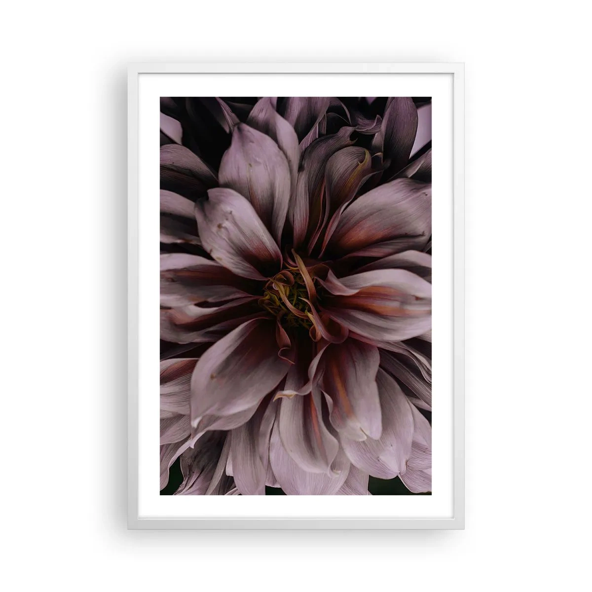 Poster în ramă albă - Inimă florală - 50x70 cm