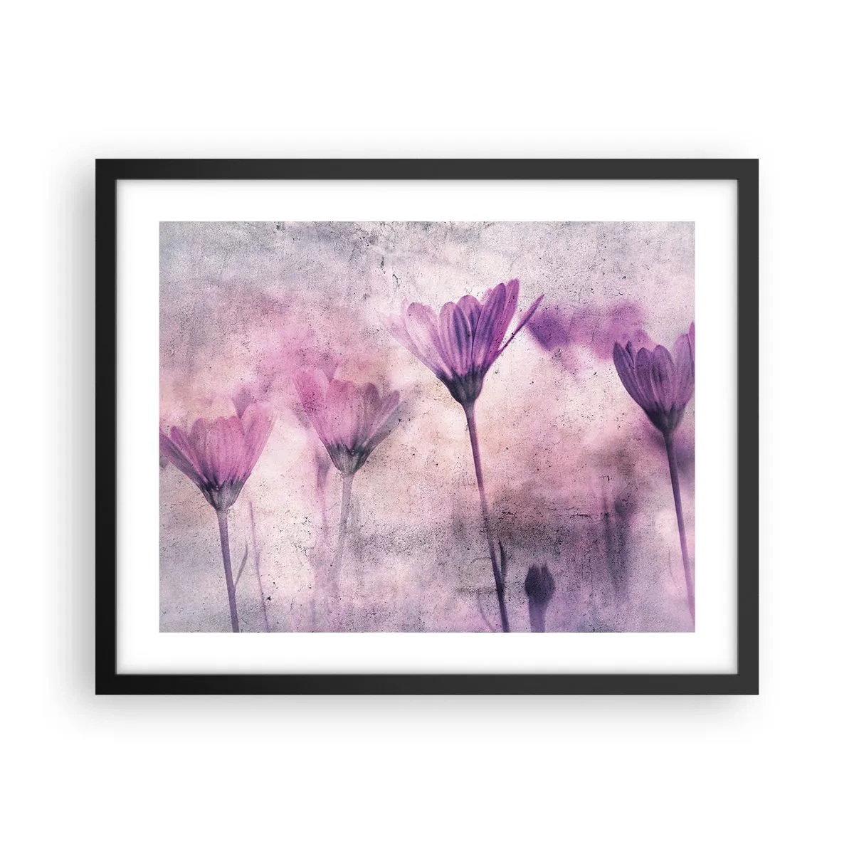 Poster în ramă neagră - Un vis de flori - 50x40 cm