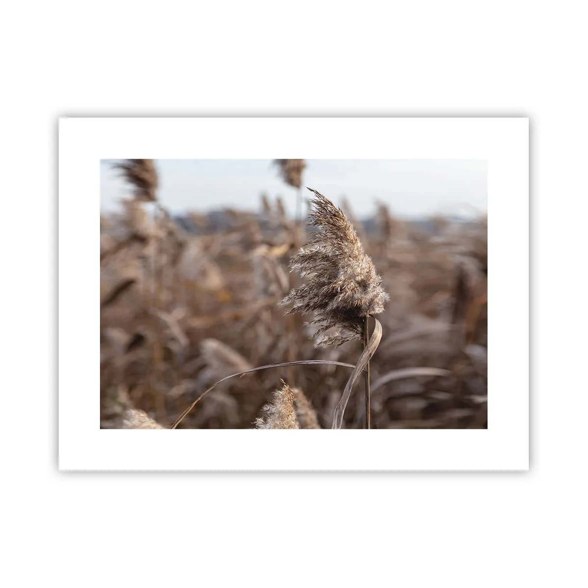 Poster - E timpul să zbori cu vântul - 40x30 cm