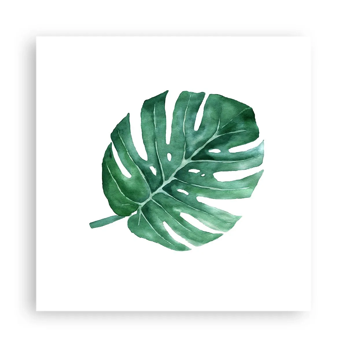 Poster - Conceptul verde - 40x40 cm