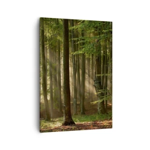 Tablou pe pânză - Strălucitoare într-o dimineață de primăvară - 50x70 cm