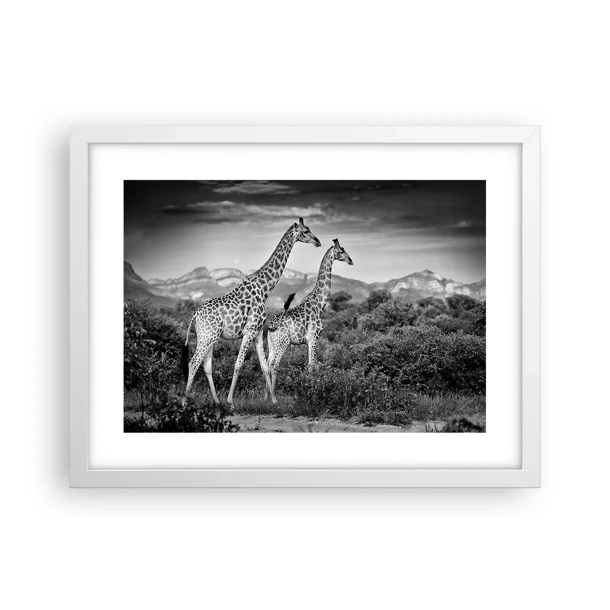 Poster în ramă albă - Clasele superioare din Africa - 40x30 cm