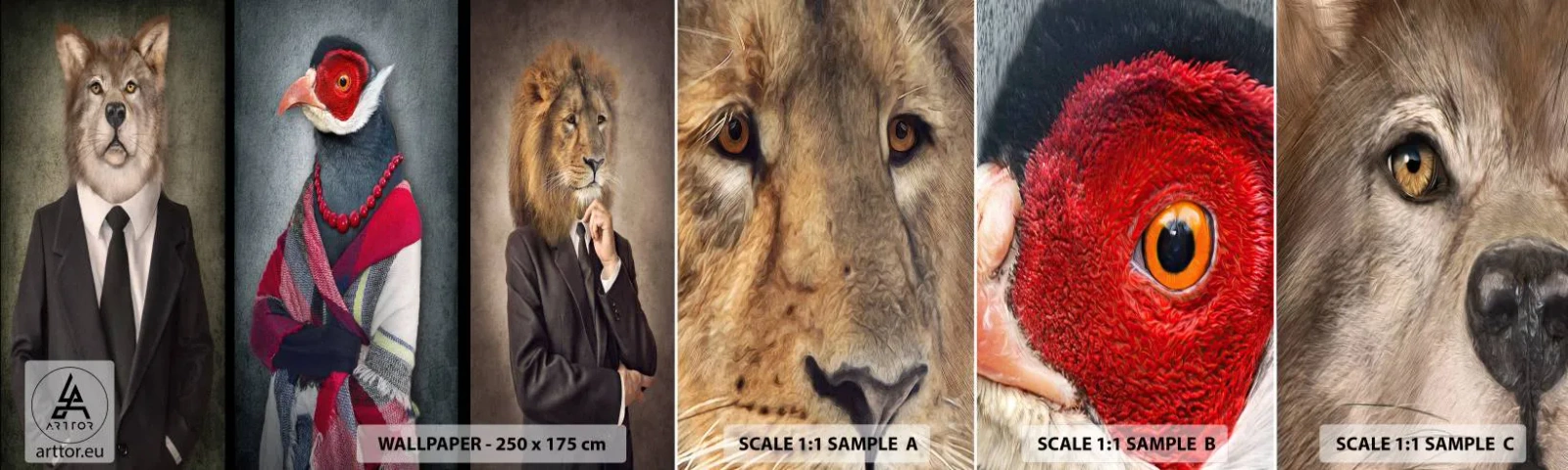 Mostră tapet autocolant Deluxe Sticker - Ce caut eu aici!? - Abstracția, Câine, Pasăre - 100x30 cm