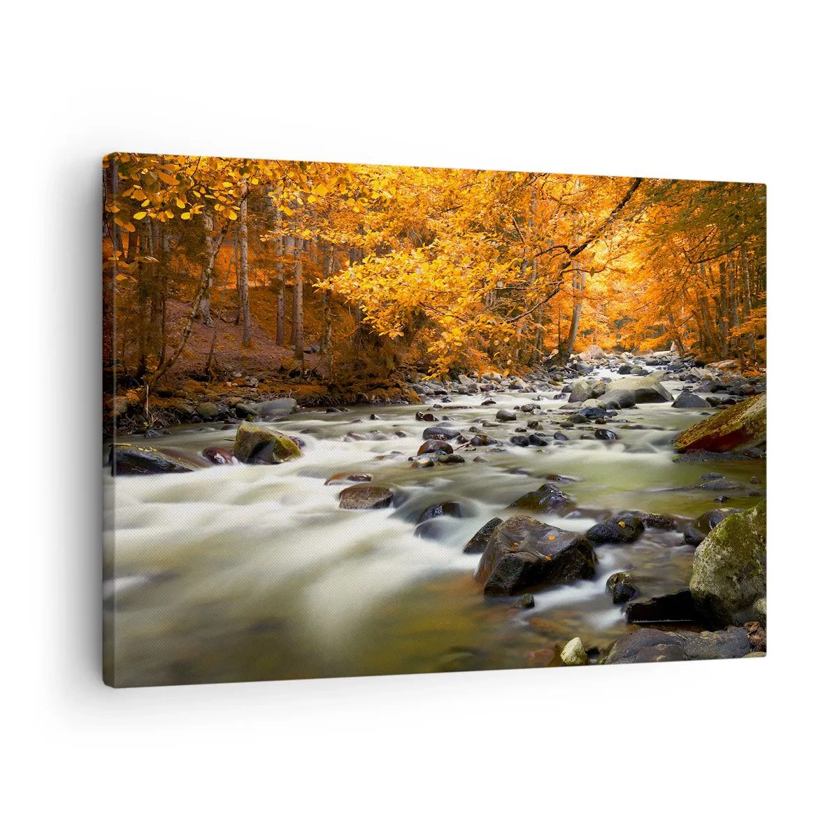 Tablou pe pânză Canvas - Un pârâu într-o pădure de toamnă înconjurat de frunze aurii - 70x50cm - Un pârâu într-o pădure de aur - Decorațiune modernă pentru perete pentru living și dormitor ARTTOR