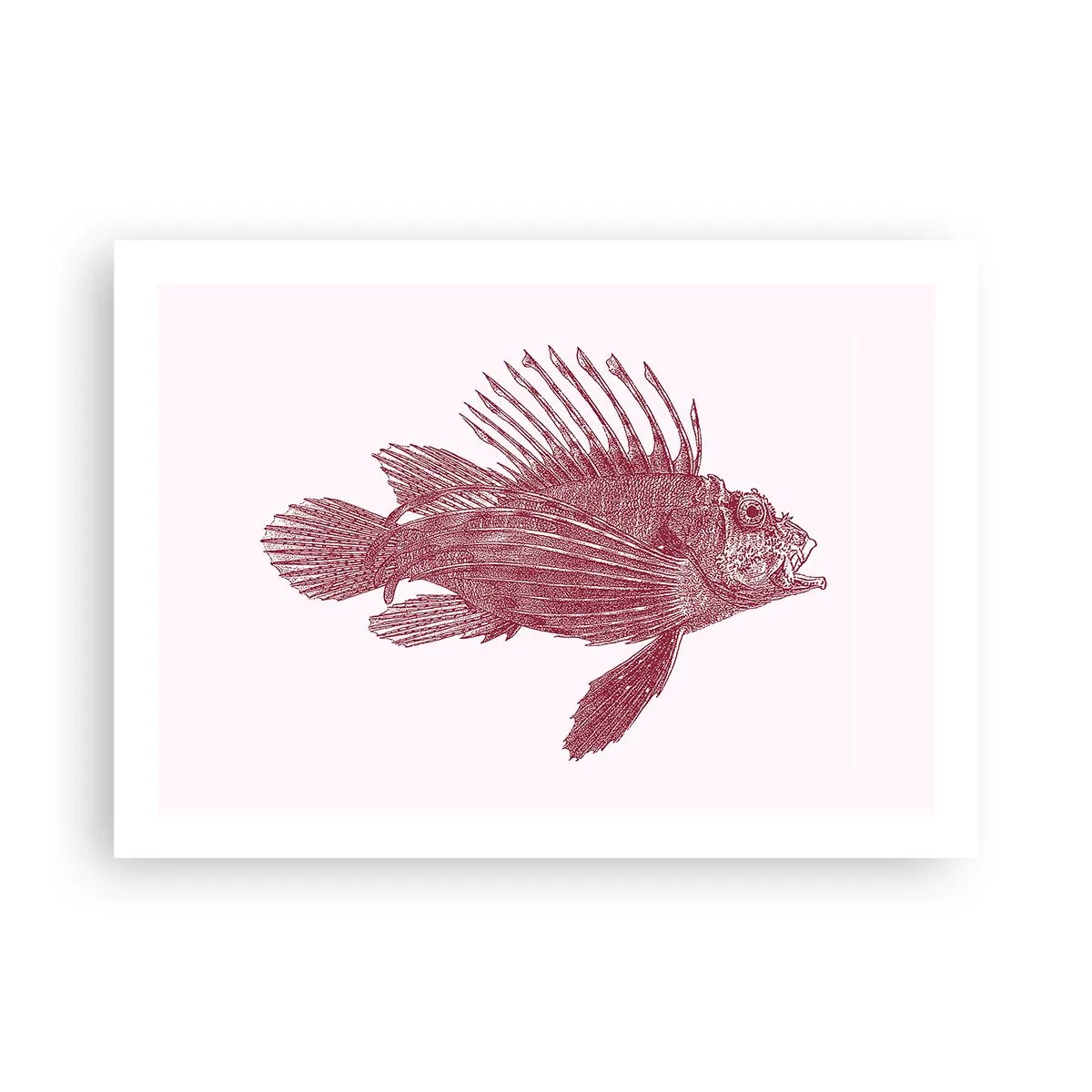 Poster - Un locuitor al apelor exotice - 70x50 cm