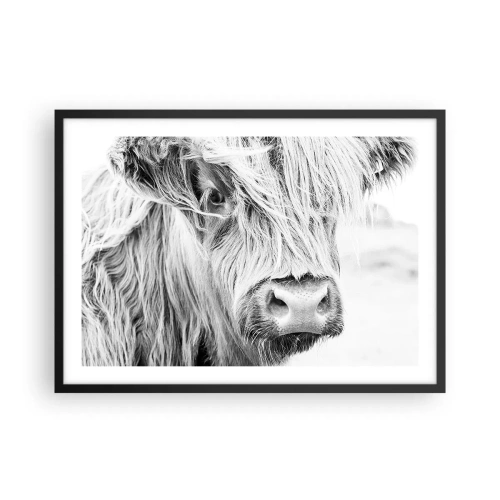 Poster în ramă neagră - Sălbăticie scoțiană - 70x50 cm