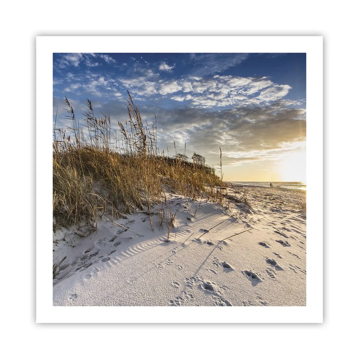 Poster - Invitație la o plimbare - 60x60 cm