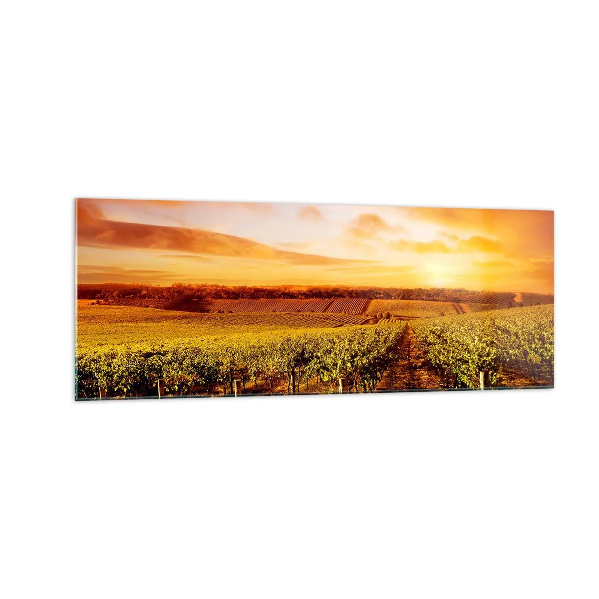 Tablou pe sticlă - Cu un iz de fructe, cu o notă de soare - 140x50 cm