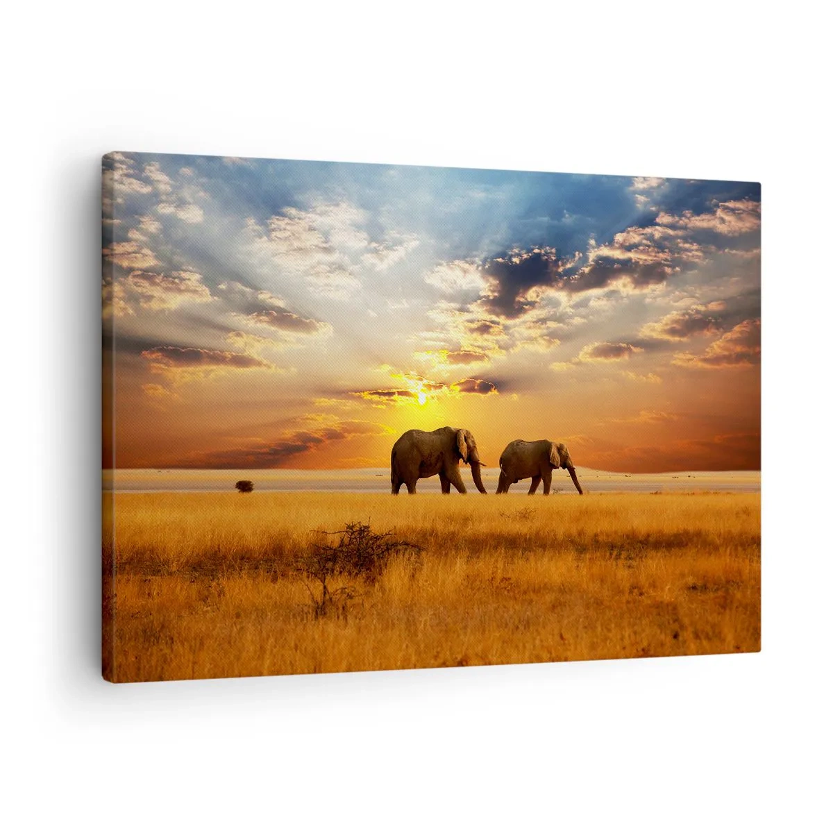Tablou pe pânză Canvas - Elefanți pe savană la apus - 70x50cm - Plimbare în familie - Decorațiune modernă pentru perete pentru living și dormitor ARTTOR