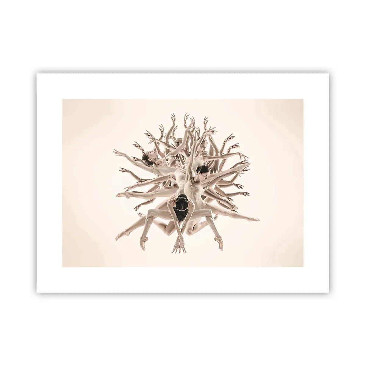 Poster - Înflorirea în dans - 40x30 cm