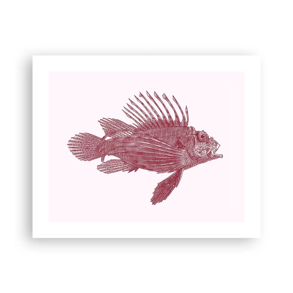 Poster - Un locuitor al apelor exotice - 50x40 cm