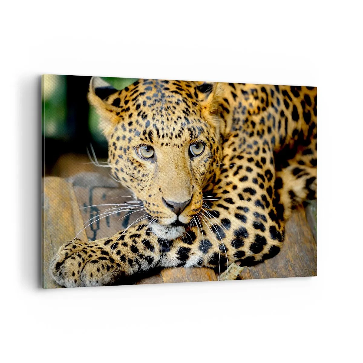 Tablou pe pânză - Nu-ți fie teamă, apropie-te - 120x80 cm