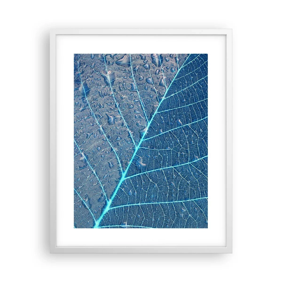 Poster în ramă albă - Viața în albastru - 40x50 cm