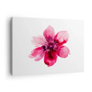 Tablou pe pânză Canvas - Floare roz în stil acuarelă pe fundal alb - 70x50cm - Sărut parfumat de carmin - Decorațiune modernă pentru perete pentru living și dormitor ARTTOR