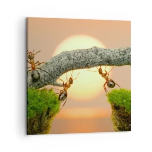 Tablou pe pânză - Cooperare veselă - 60x60 cm