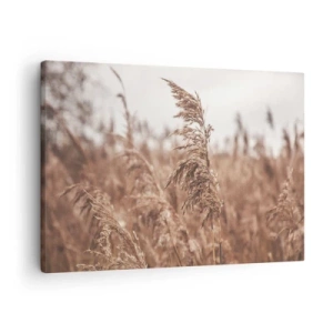 Tablou pe pânză Canvas - Ierburi aurii pe fundalul peisajelor de toamnă - 70x50cm - Toamna pe câmpuri - Decorațiune modernă pentru perete pentru living și dormitor ARTTOR