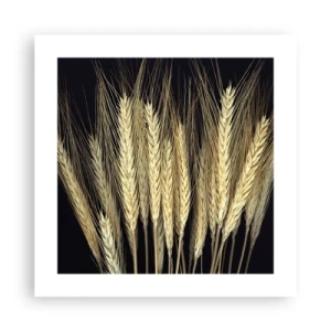 Poster - Magie rustică - 40x40 cm