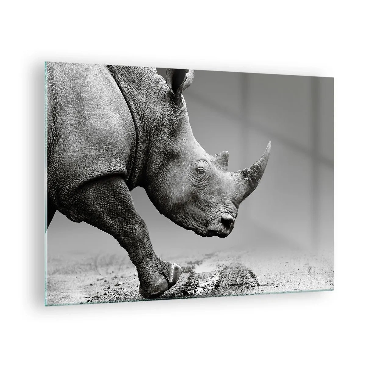 Tablou pe sticlă - Un rinocer în mișcare pe un fundal gri - 70x50cm - O forță de neoprit - Decorațiune modernă pentru perete pentru living și dormitor ARTTOR
