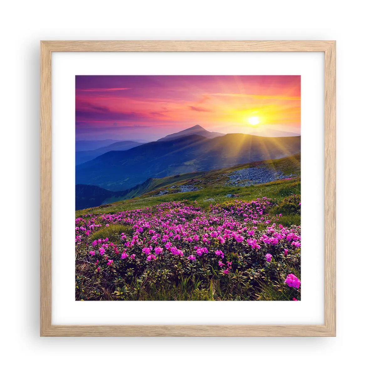 Poster în ramă de stejar deschis - ... Și peste tot în jur se simte un miros de jneapăn și parfum de ierburi... - 40x40 cm