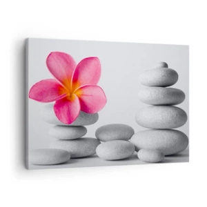Tablou pe pânză Canvas - Floare roz pe pietre în stil zen - 70x50cm - Piatră peste piatră, iar pe această piatră... - Decorațiune modernă pentru perete pentru living și dormitor ARTTOR