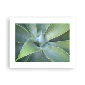 Poster - Nașterea verdeții - 40x30 cm