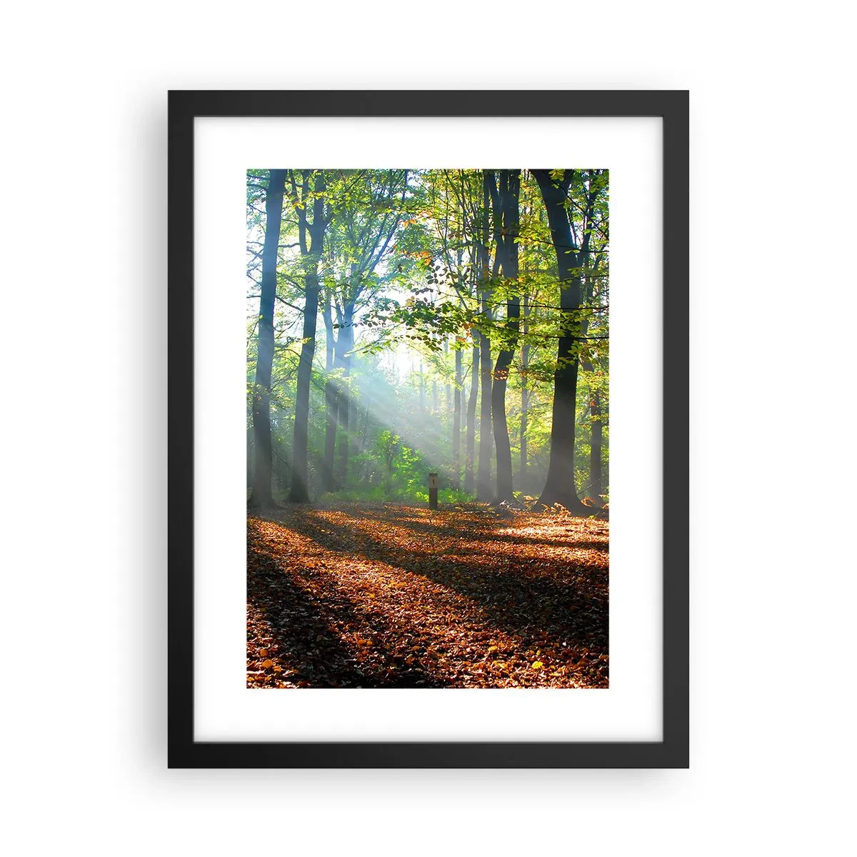 Poster în ramă neagră - Străluciri și umbre - 30x40 cm