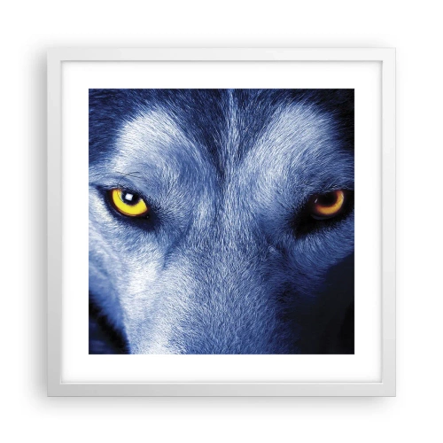 Poster în ramă albă - O privire hipnotizantă - 40x40 cm
